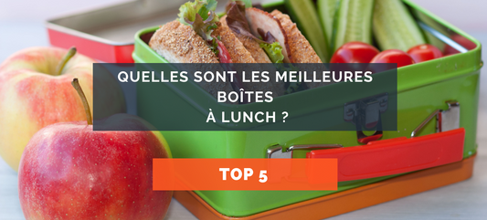 Boîte à lunch : laquelle choisir