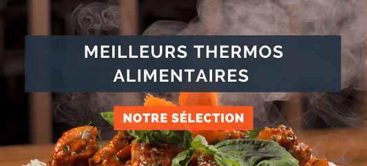 Meilleurs thermos alimentaires : Lequel choisir ?
