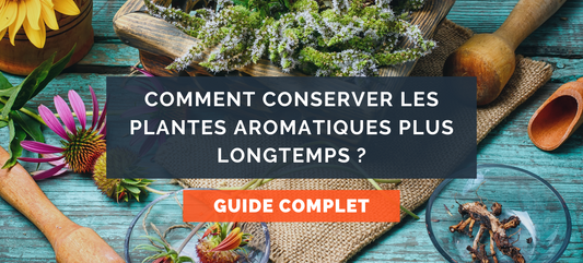 Comment conserver les plantes aromatiques plus longtemps ?