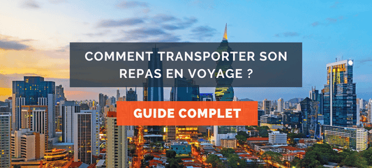 banniere blog transporter repas voyage