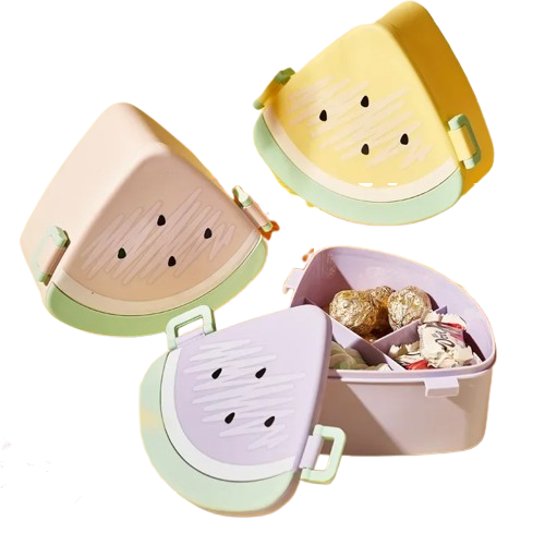 Lunch box pasteque