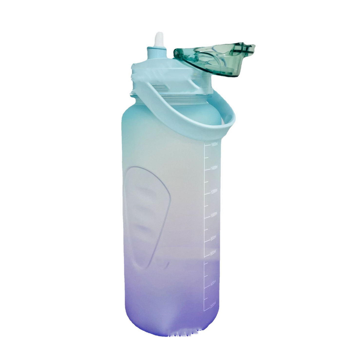 Gourde Sport 2L Vert / Violet