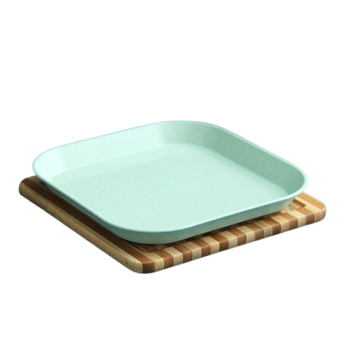 Assiette réutilisable plastique vert