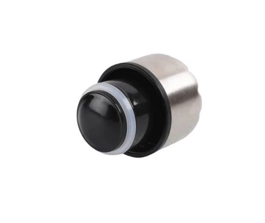 Gourde Isotherme Palmier Mexicain