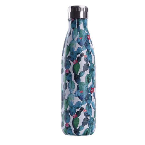Bouteille isotherme 500 ml cactus bleu