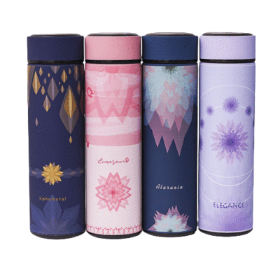 Gourde en inox infuseur thé