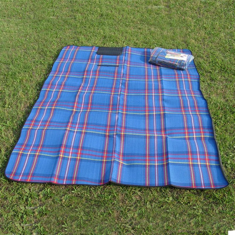 nappe pique nique carreaux bleues