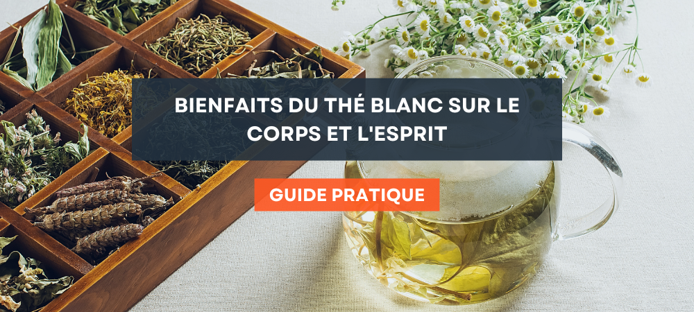 Bienfaits du Thé Blanc sur le Corps et l'Esprit