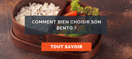 Comment bien choisir son bento ?