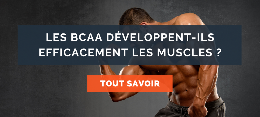 Faut-il prendre des BCAA pour augmenter la prise de masse musculaire ?