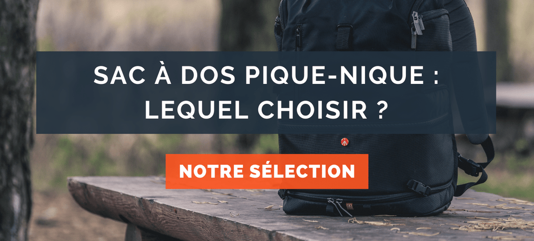 Sac a dos de picnic hot sale