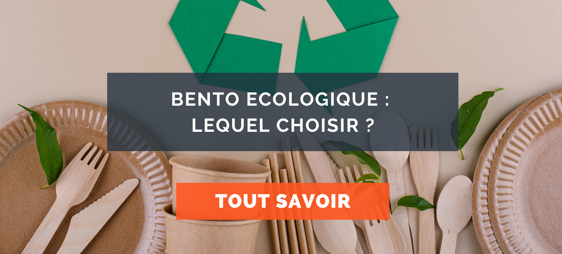 bento-ecologique-lequel-choisir