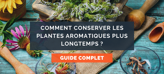 Comment conserver les plantes aromatiques plus longtemps ?