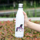 bouteille isotherme inox licorne